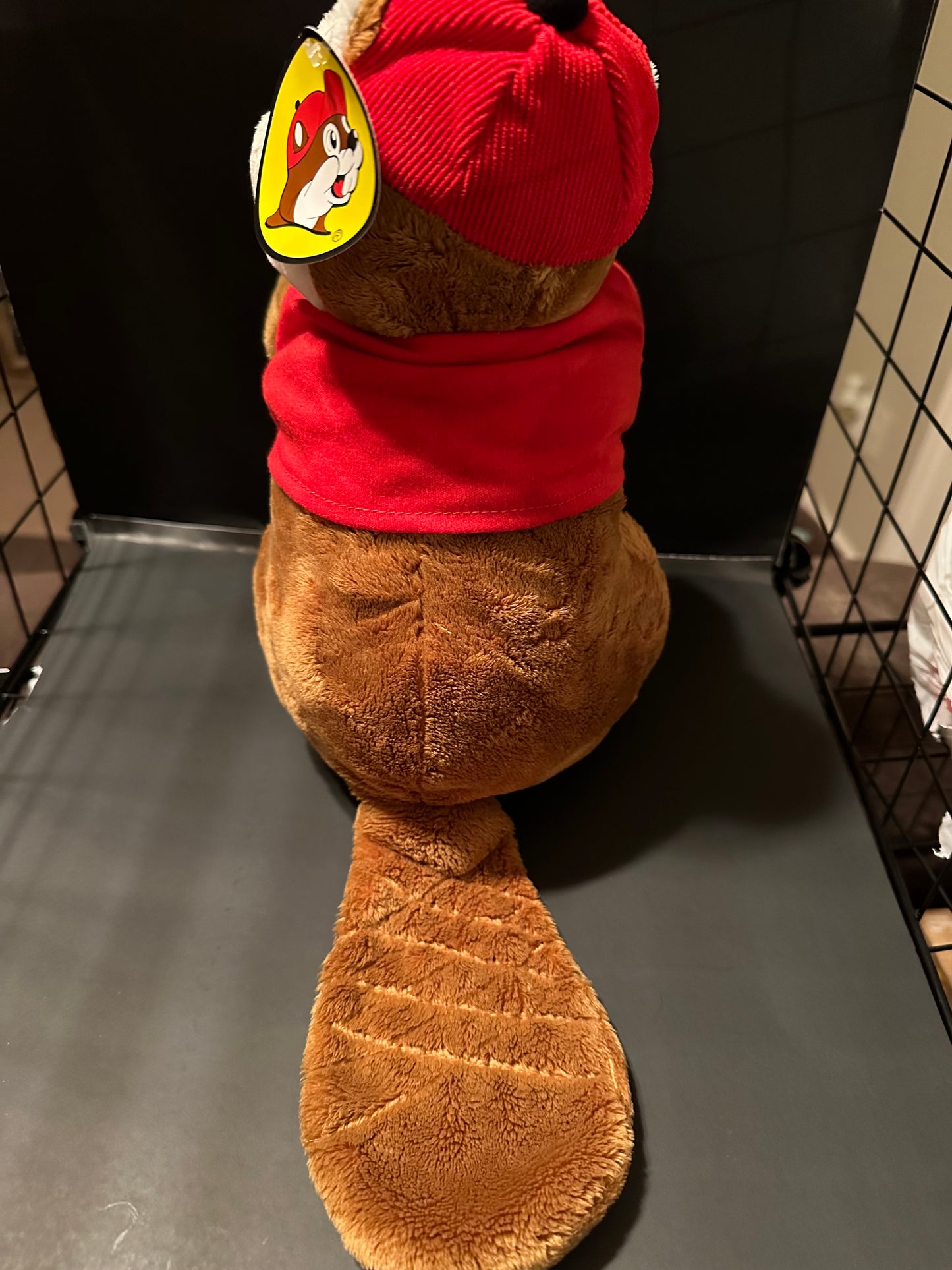 Buc-ees Plush Beaver